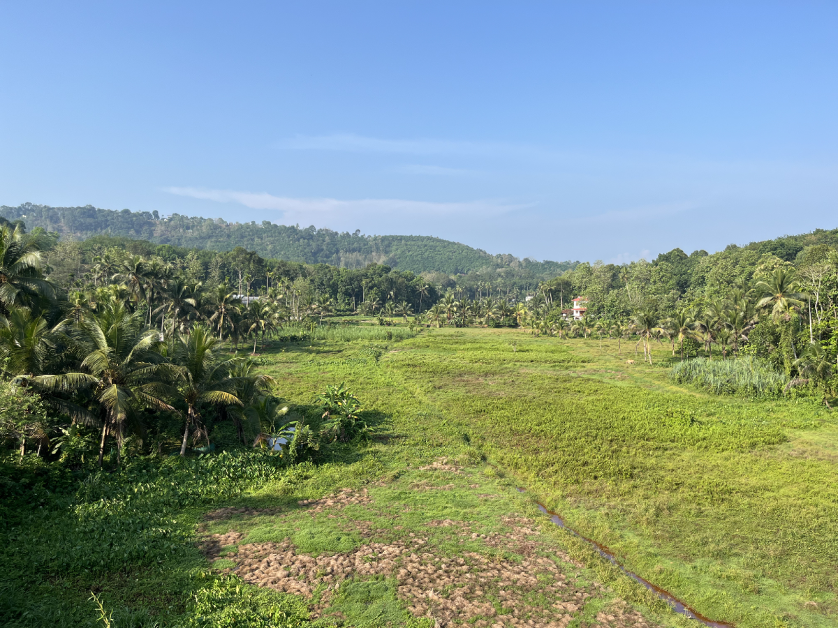 My Gramam Homestay View 7